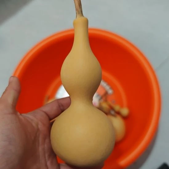 木桌面摆件一物一拍6