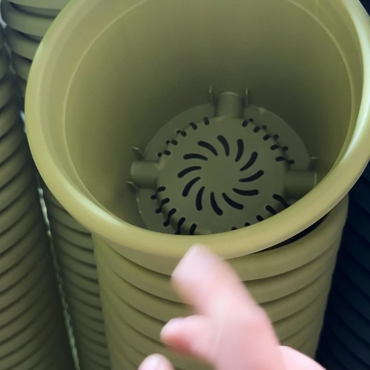 四季3号果绿无托6个