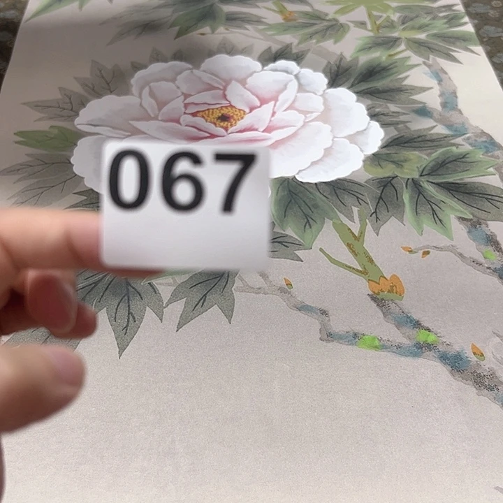 一***者一品回流字画啊啊啊067