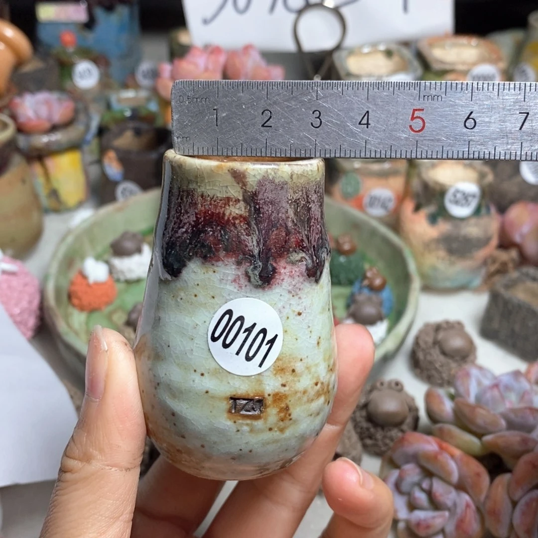 拍5送一个小礼物