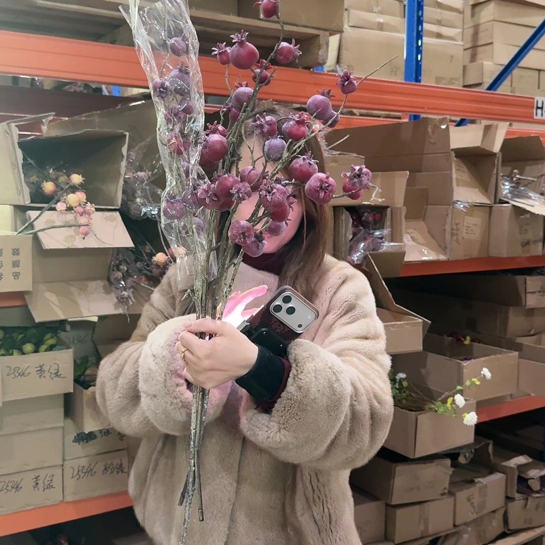 柳***柳64号「闪购」仿真花，公主请下单