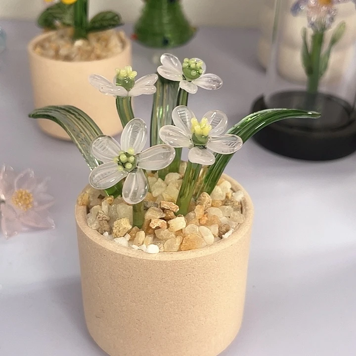 茶宠我也不知道我为什么要