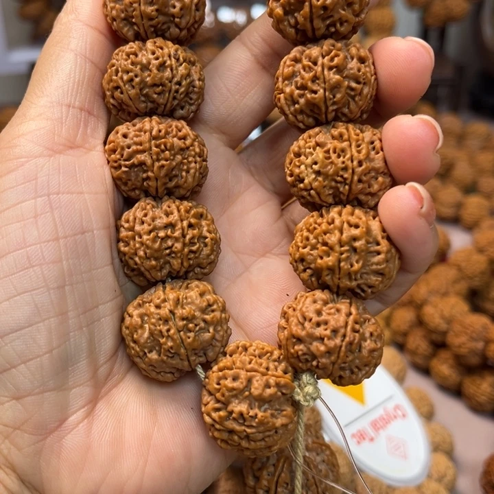 刘***奶金刚菩提手串六瓣原生态