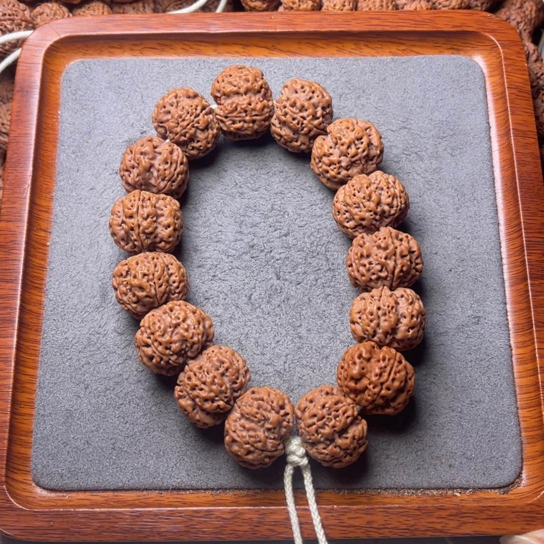 菩提2号金刚菩提双龙梅花24