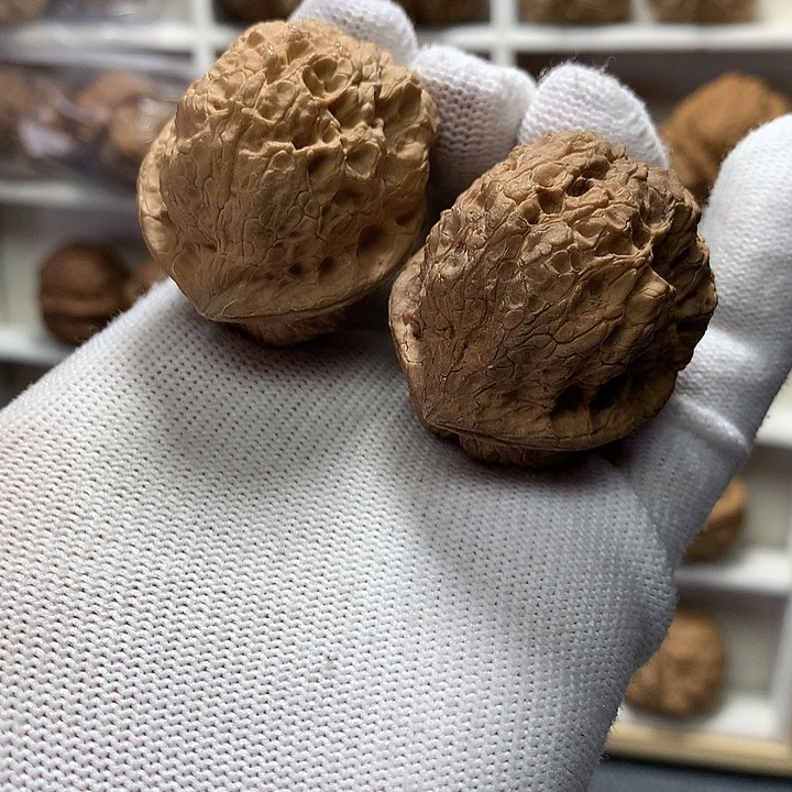 核桃39尺古坨蟾22号