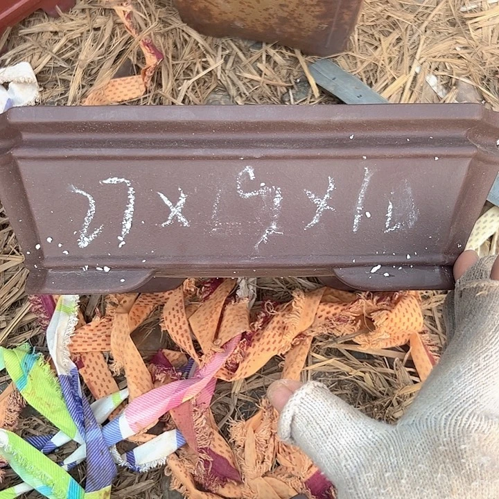 瑕疵吃瑕疵吃下瑕疵瑕疵吃瑕疵