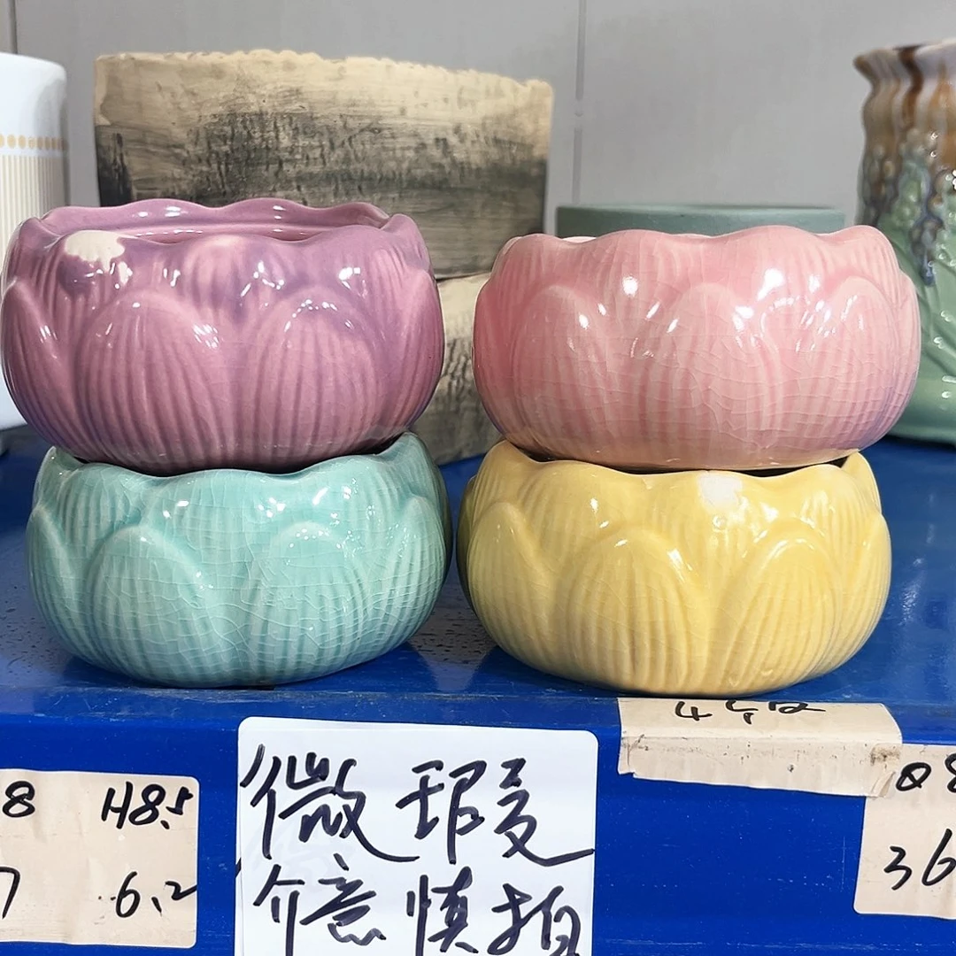 花盆花盆花盆花盆花盆花盆花盆花盆