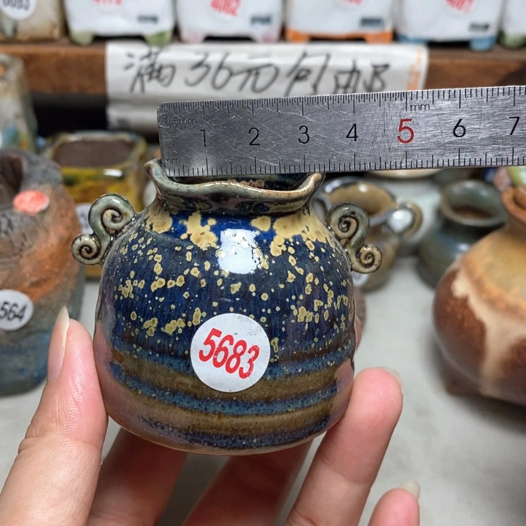 拍5送一个小礼物