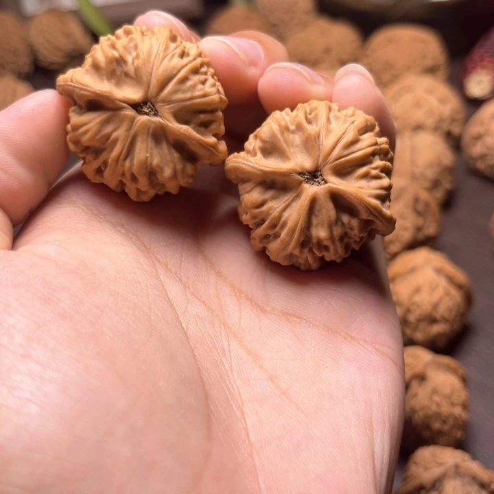 宁天地天地天地天地35