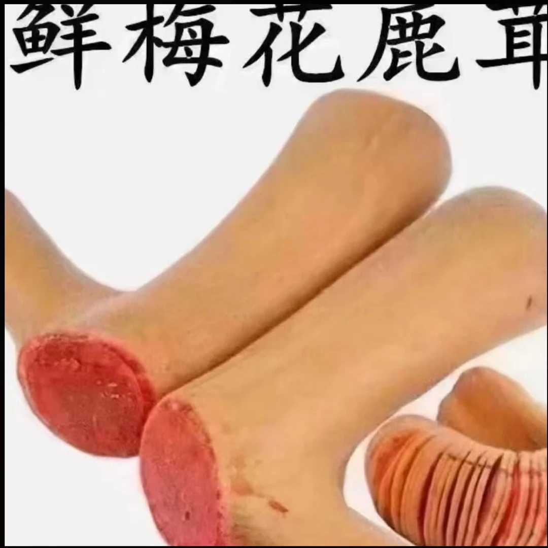 【茸红专属】东北头茬新鲜二杠鹿茸可泡酒可煲汤，以直播间实物为准。