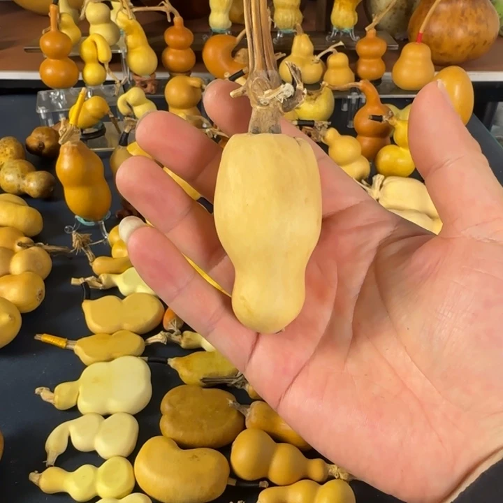 芝***忙把h减肥法赶紧看看就好比v哥哥