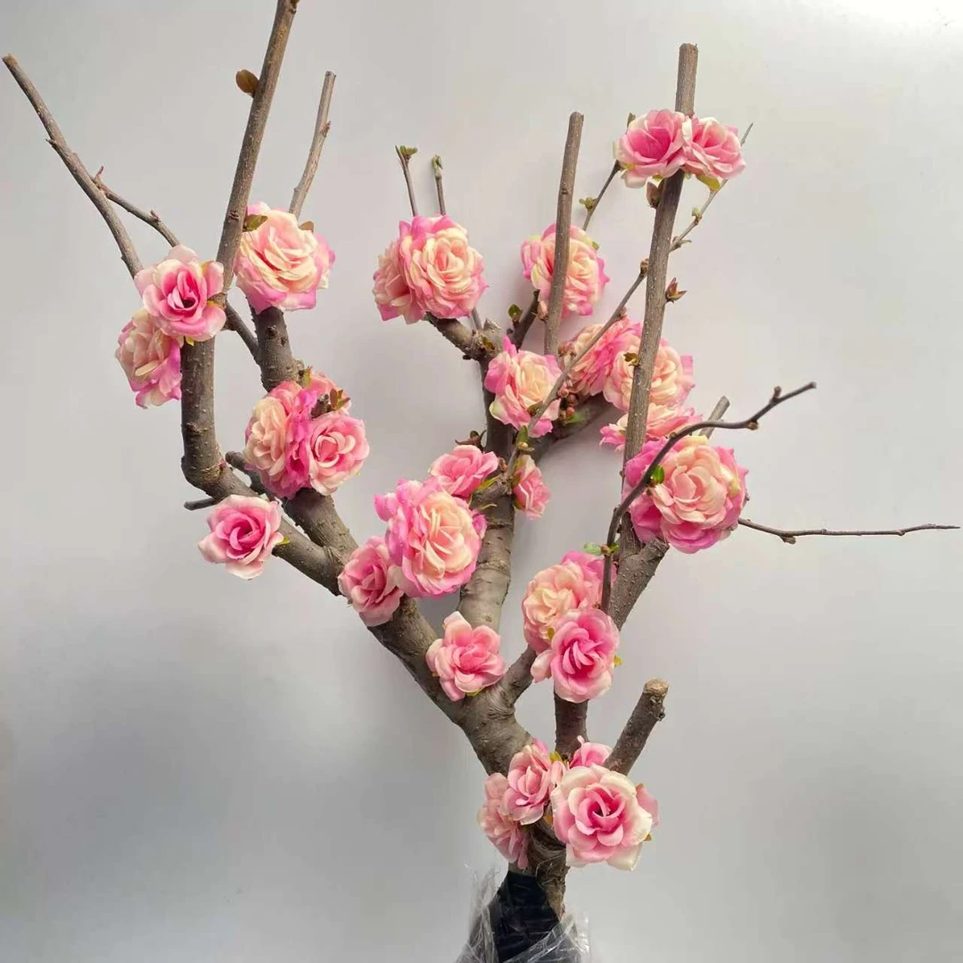 精品彩云飞海棠高端花卉花卉绿植盆栽盆景客厅阳台摆放