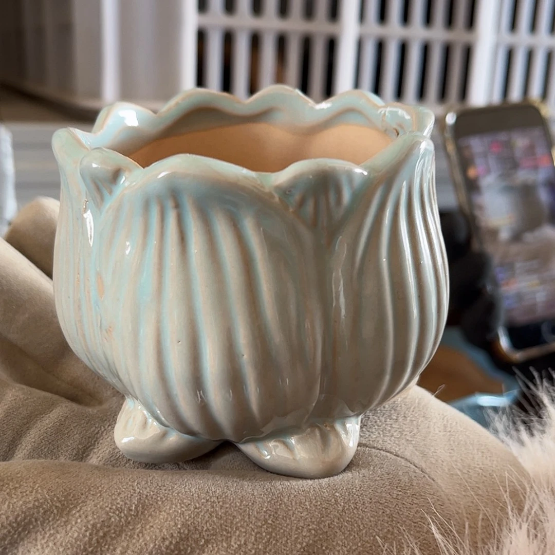 【闪购商品】红陶福利