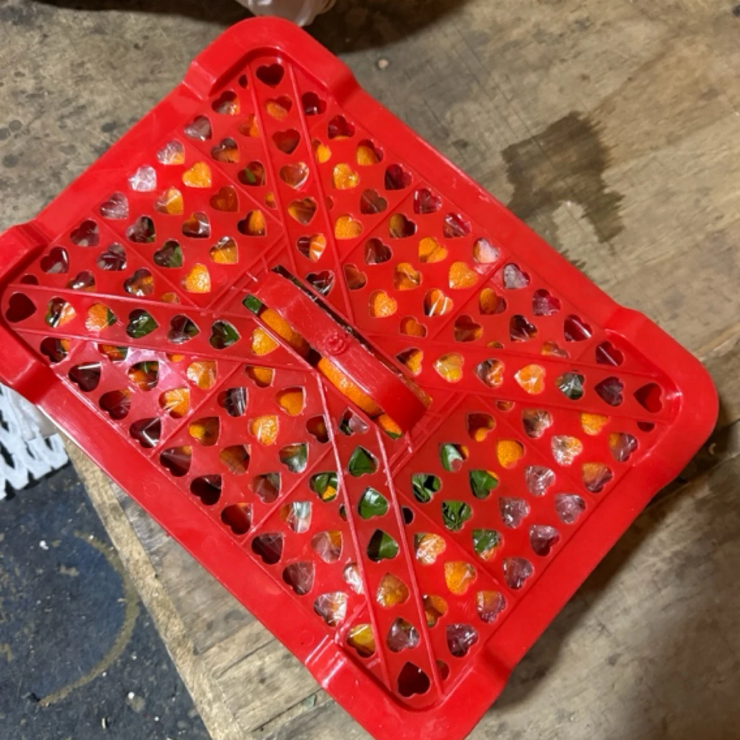 广西纯甜口皮薄多汁好吃砂糖桔