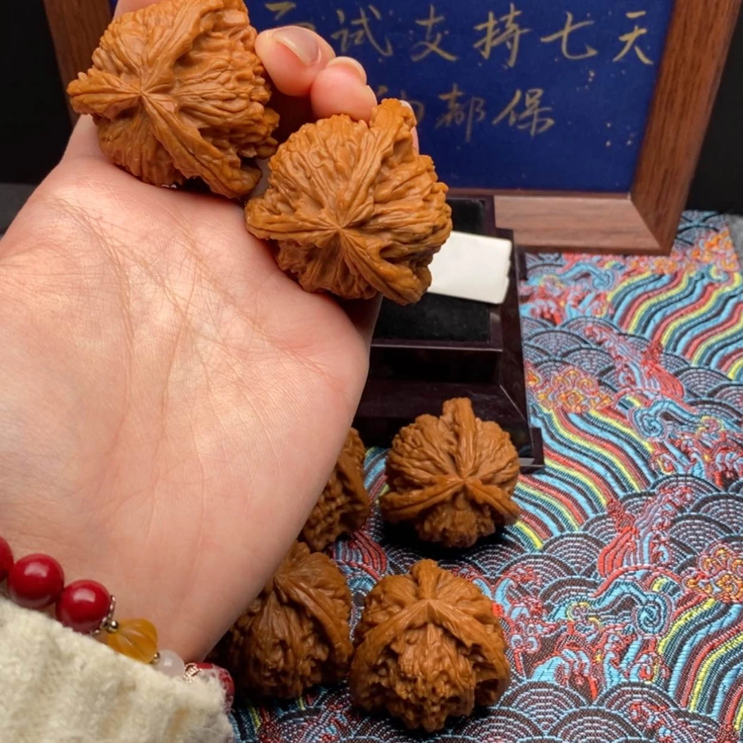 【闪购商品】嗨****你白狮