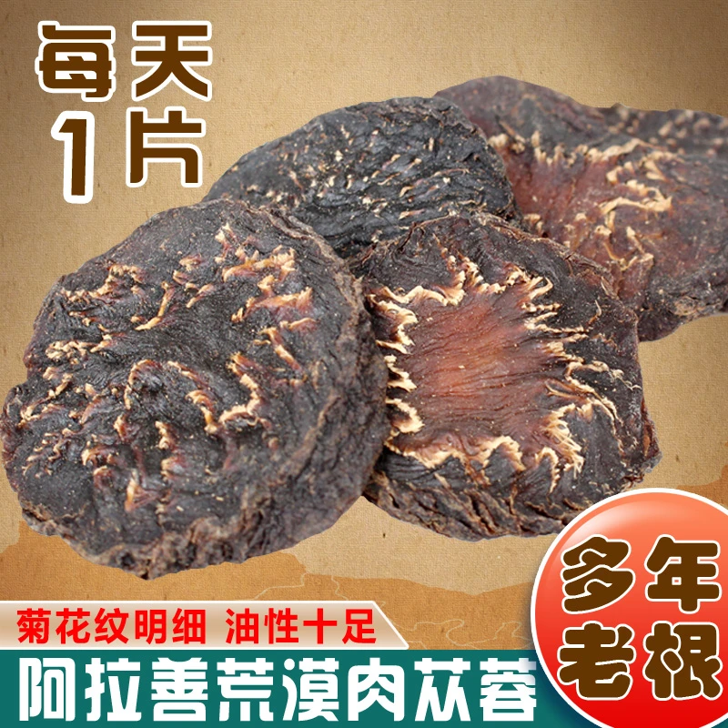 肉苁蓉内蒙古阿拉善特产精选大片大漠双雄泡酒煲汤炖肉煮粥煮茶