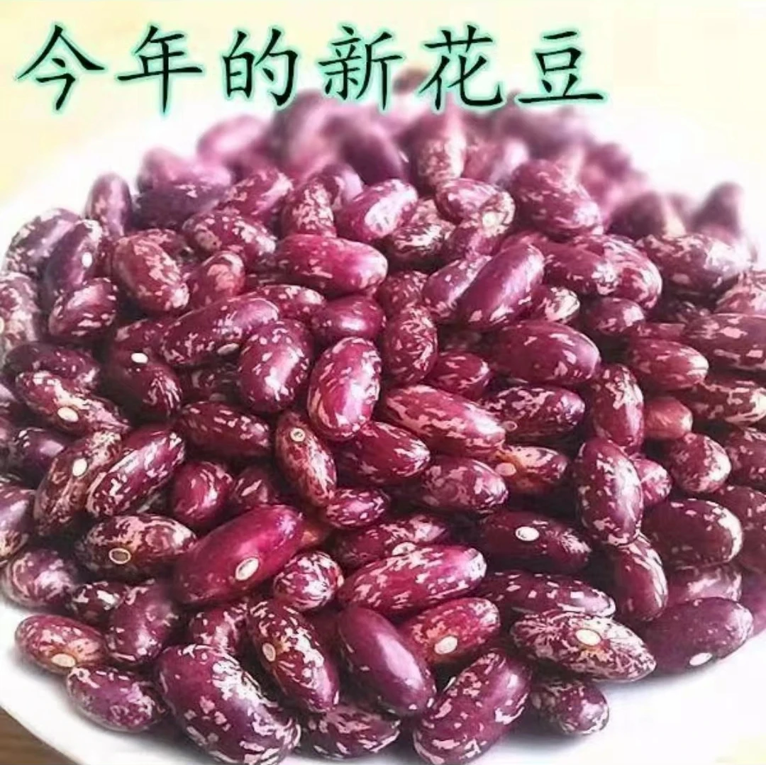 新豆贵州酸菜豆米新花豆云豆芸豆花豆子新四季豆四季豆米紫花芸豆