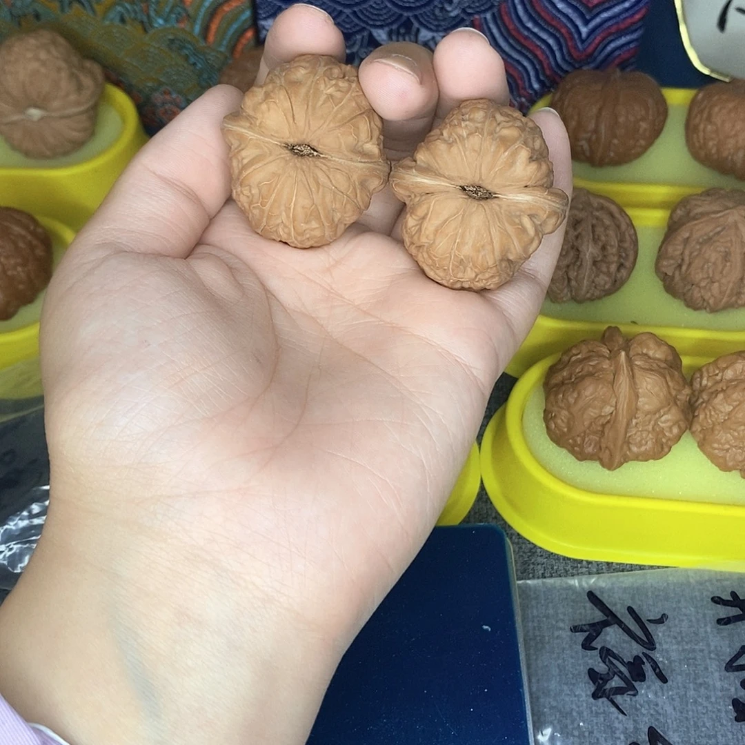 达***洛43尺寸全品无修元宝