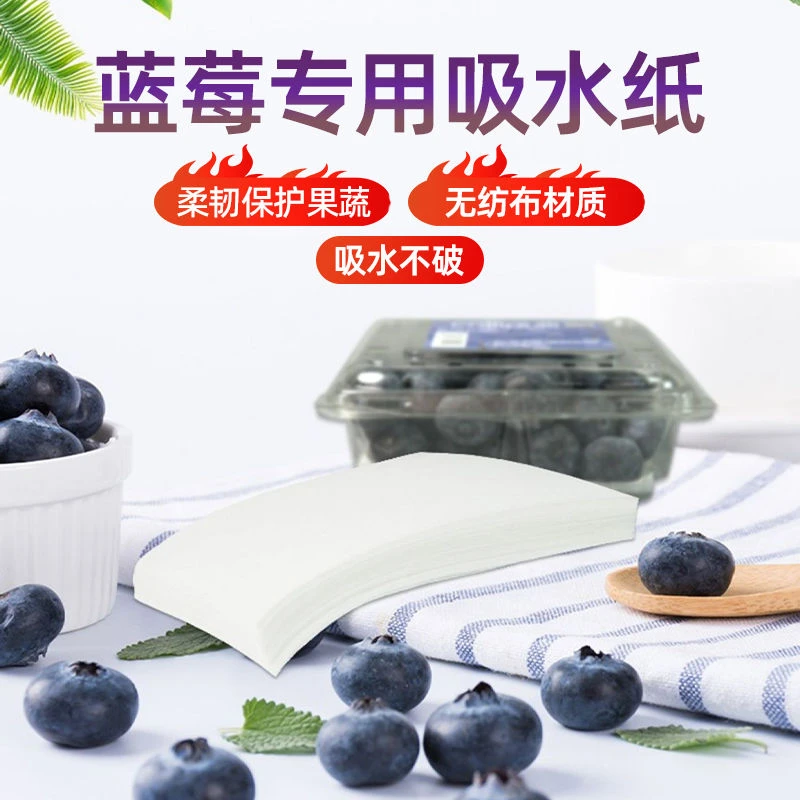 蓝莓垫纸水果吸水纸食物保鲜包装无纺布冬枣生鲜果蔬吸水纸吸潮纸