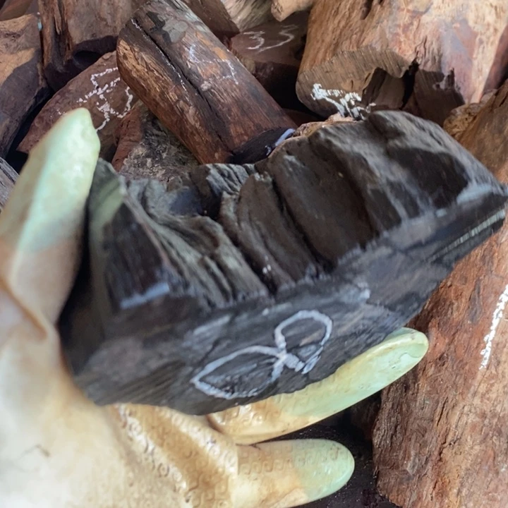 交趾黄檀（大红酸枝）⊙*