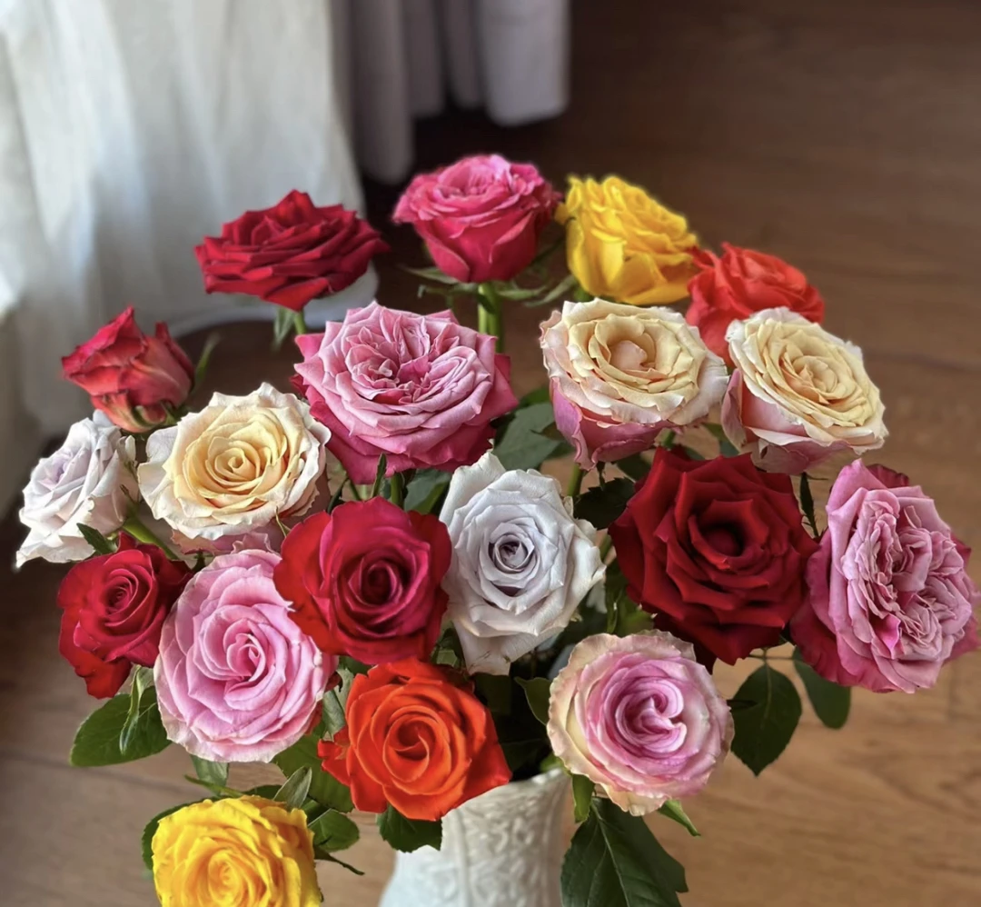 （曼）混色15支➕5支防损鲜花任意满两单包邮