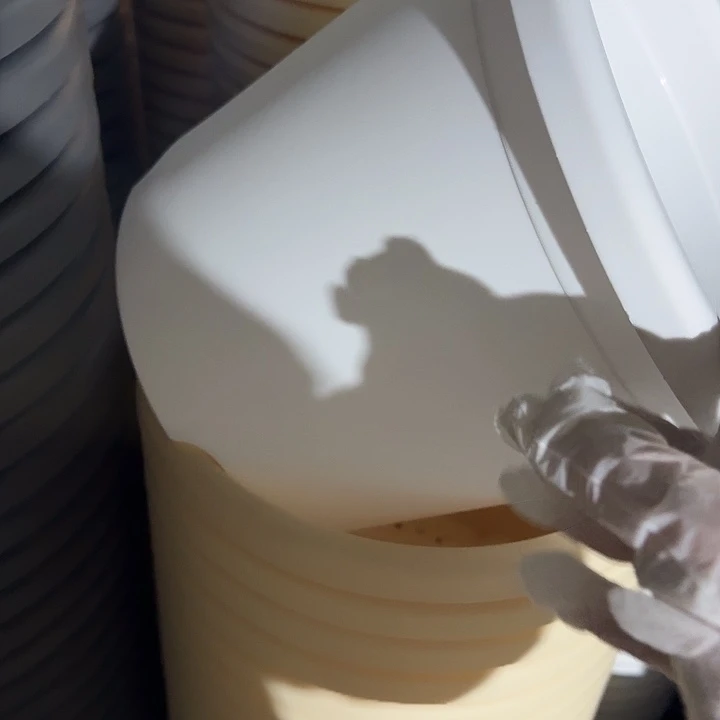 四季5号纯白无托10个特价