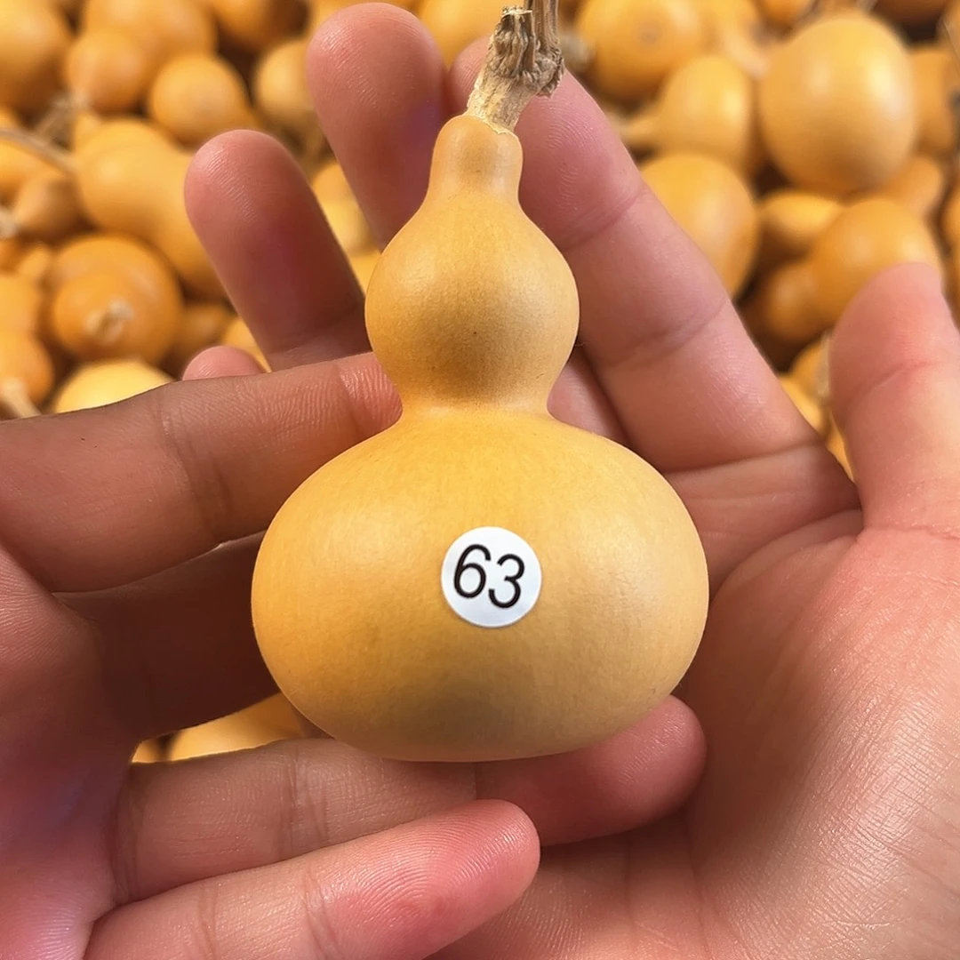 二葫芦葫芦葫芦葫芦63