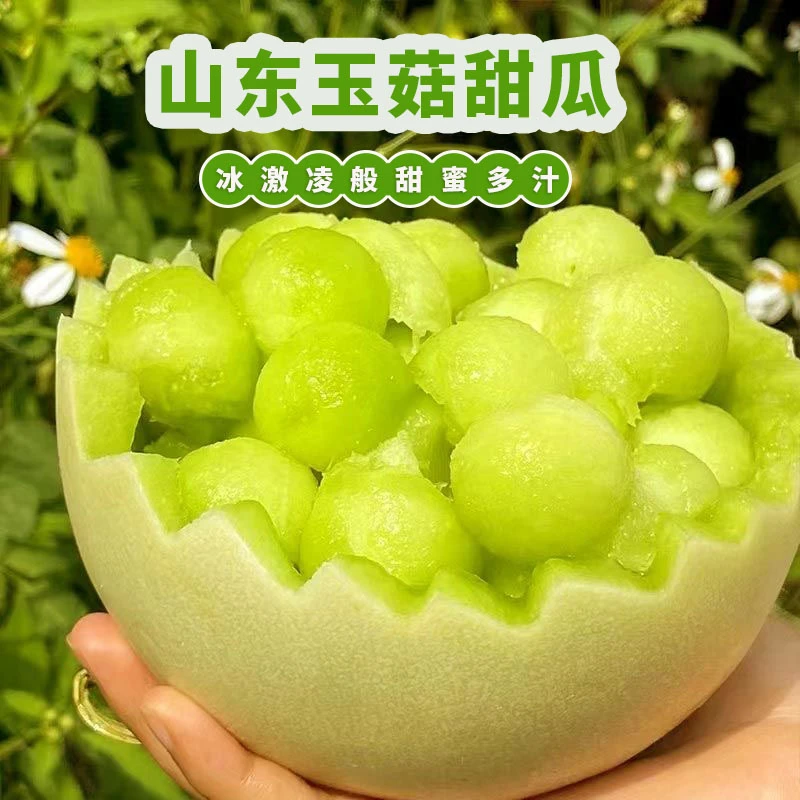 山东玉菇甜瓜4.5斤冰淇淋香瓜应当季水果现摘新鲜蜜瓜