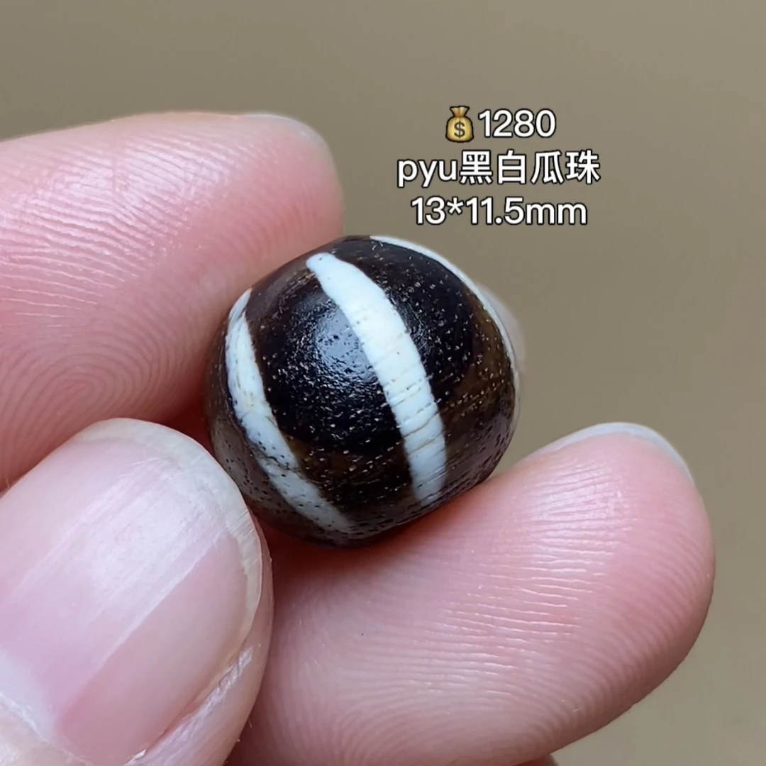 pyu黑白瓜珠 两千多岁 视频可联系客服
