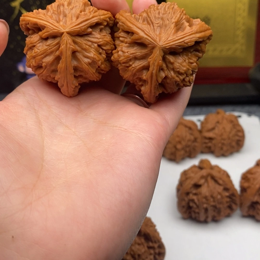 用****7白狮子凄凄切切凄凄切切q