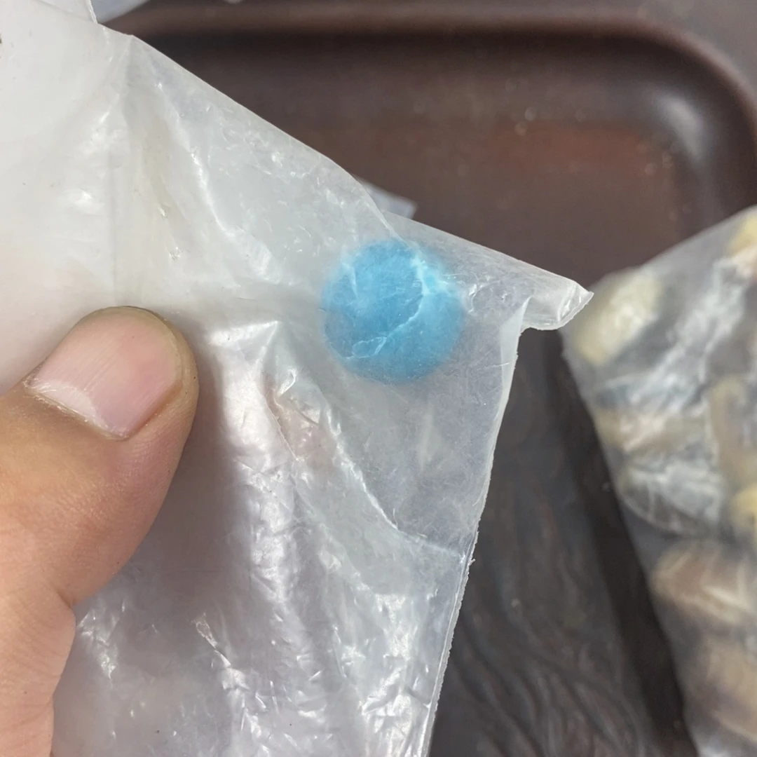 手串/手链驼骨配饰255