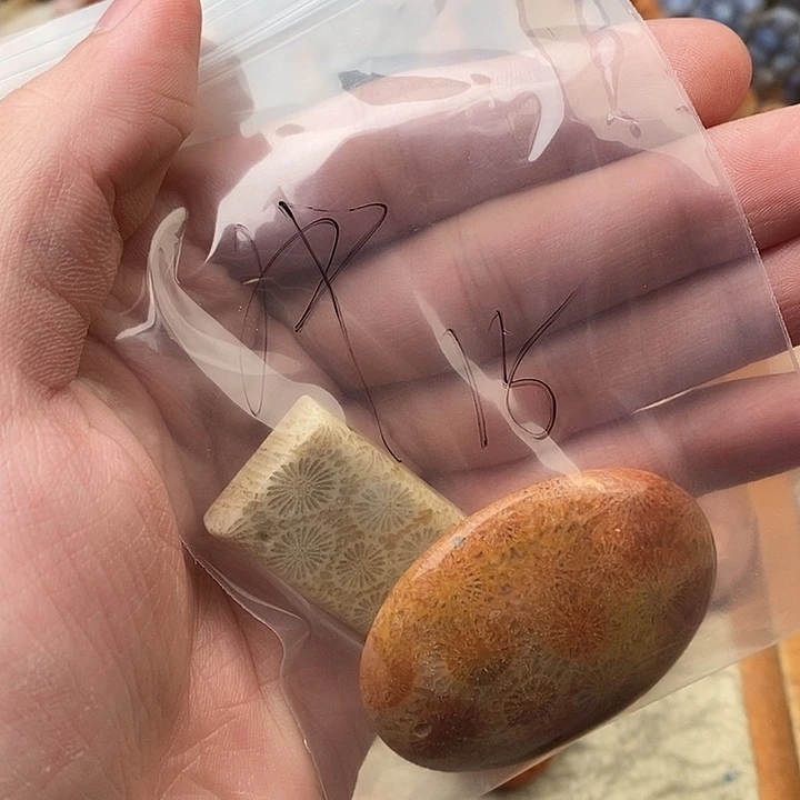 ****牛硅化玉颈饰未镶嵌