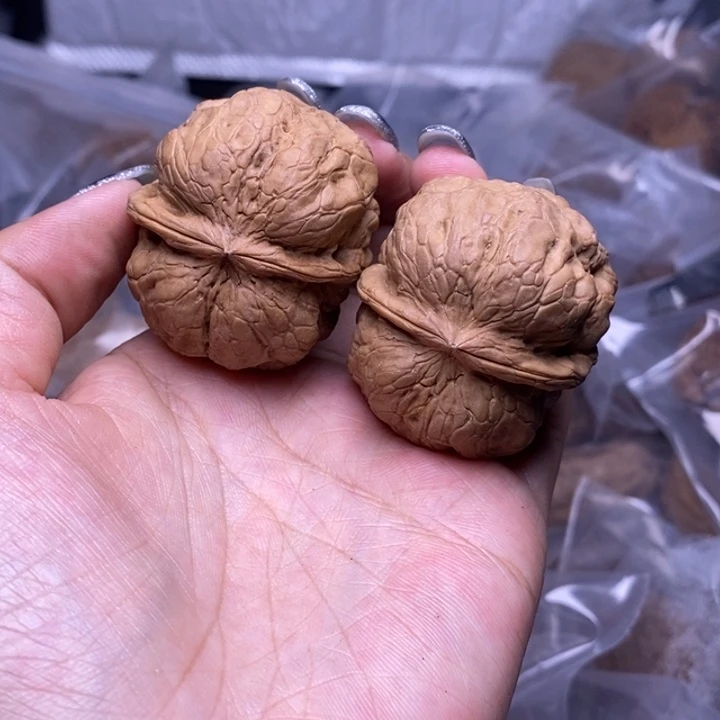 核桃云南野生铁核桃14号41mm