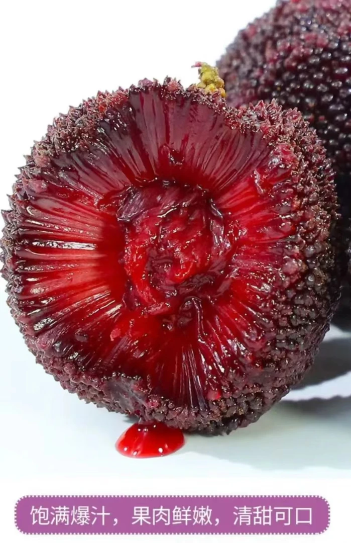 仙居杨梅【新鲜】正宗仙居高山杨梅现摘现发新鲜多汁当季水果空运