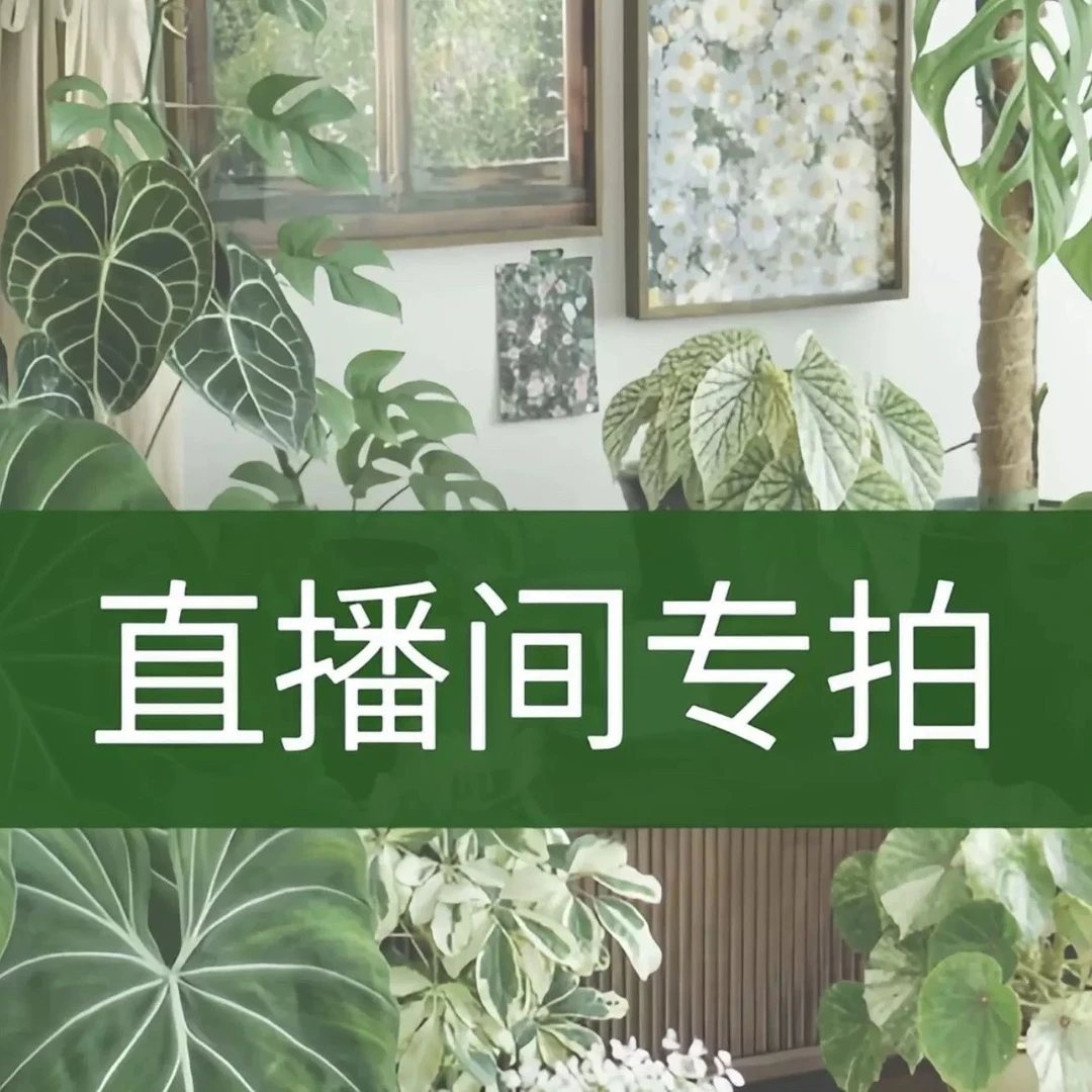 《一物一拍》直播间咨询后下单