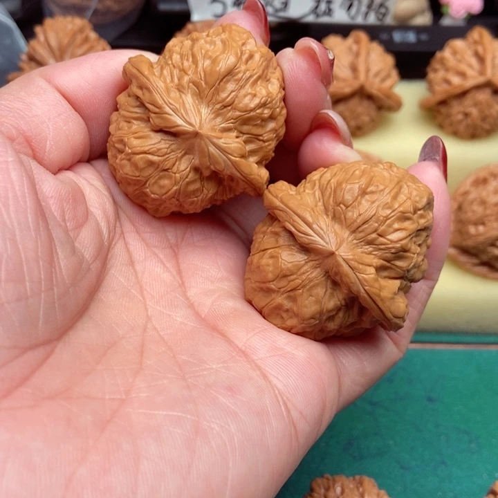 南瓜全39尺已打底……19