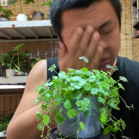 红陶逐**云一物一拍所见即所得152