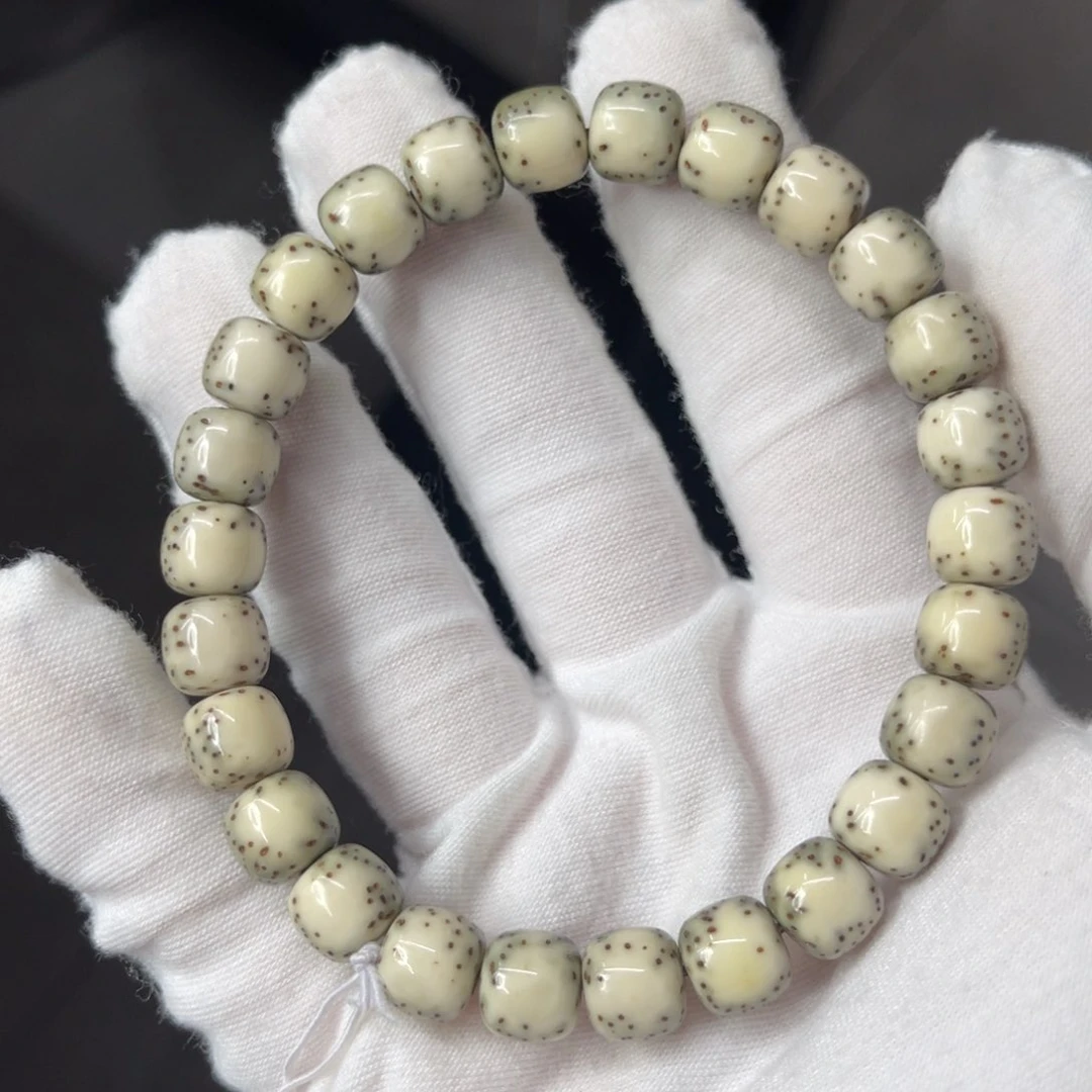 星月菩提吊坠9/8绿背河豚半壁江山留白