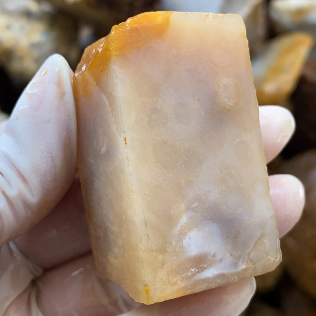 【闪购商品】硅化玉珊瑚玉未镶嵌