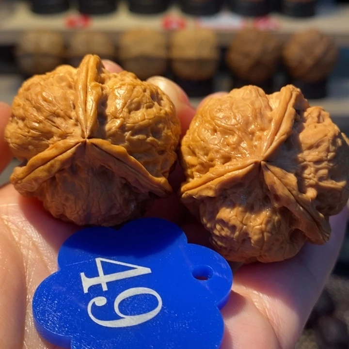 核桃4号七彩磐石三棱37尺寸