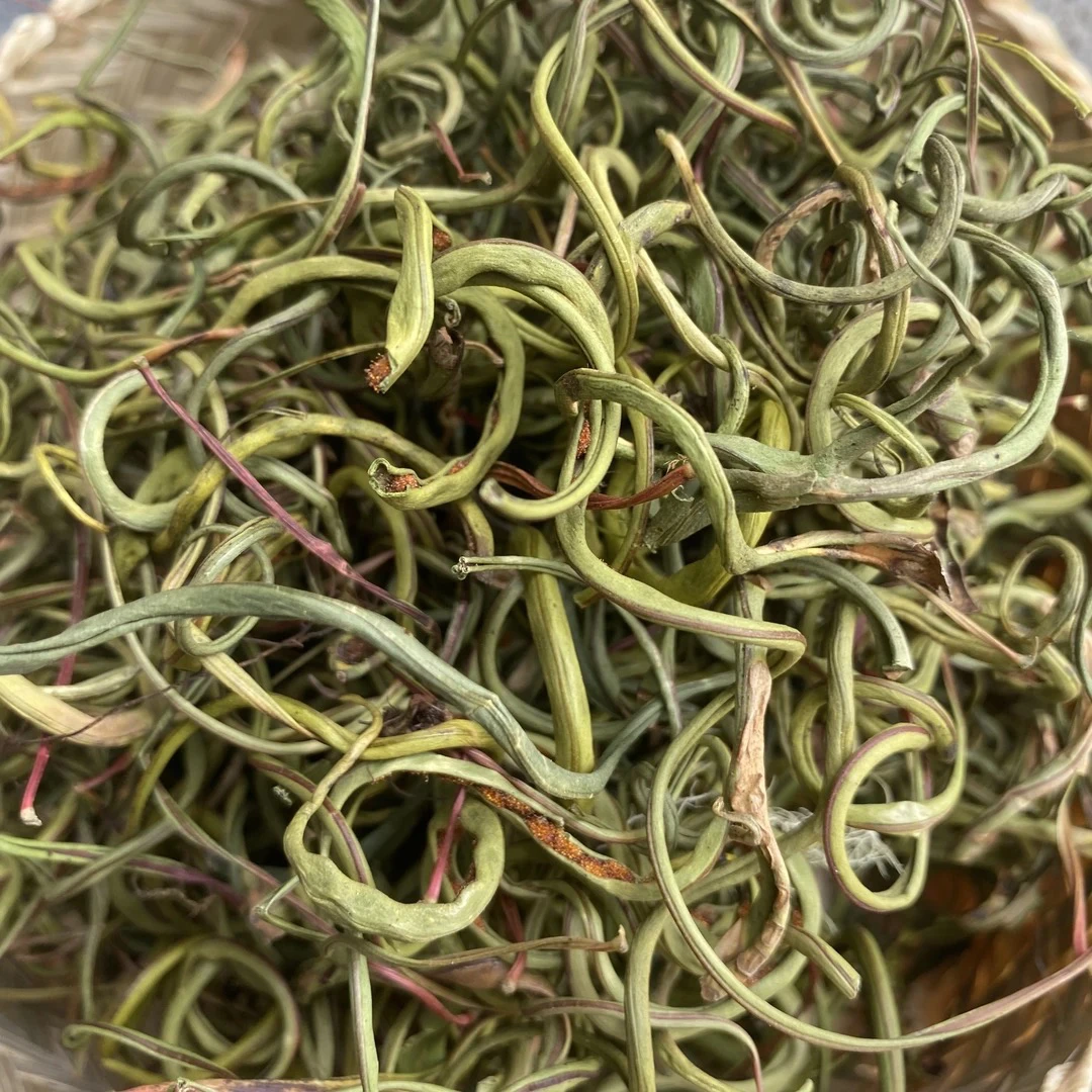 小付山货（肾精草)又名嗷嗷叫黄金草化石草