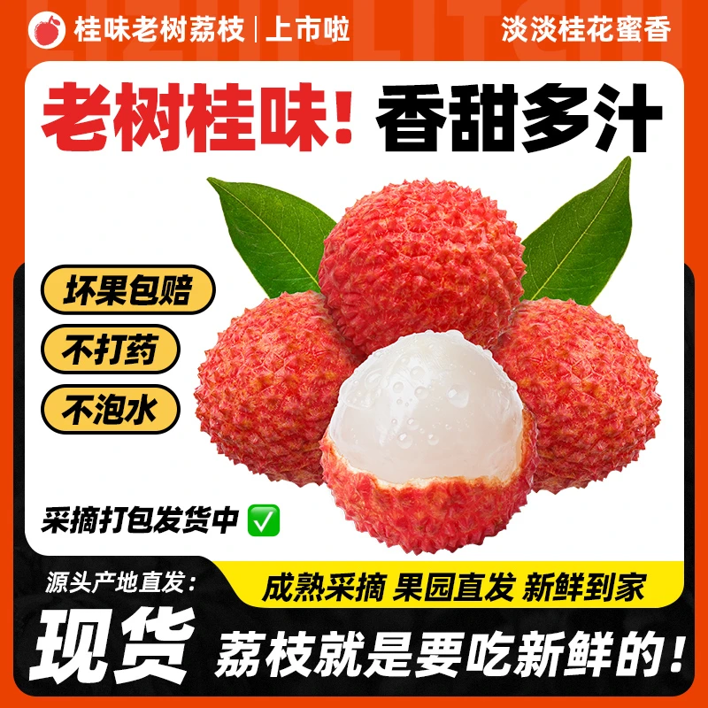 【高途专属】茂名高州桂味荔枝4.5斤新鲜现摘当季水果顺丰包邮