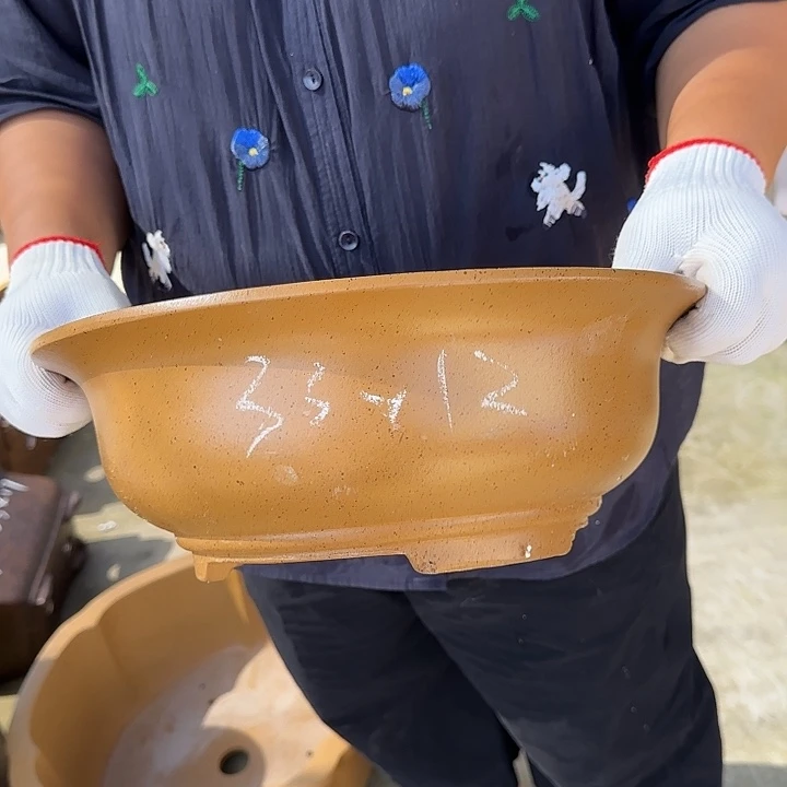 紫砂花盆这是我的
