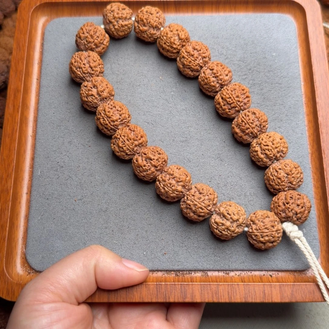 菩提菩提35号尼泊尔大金刚19手持