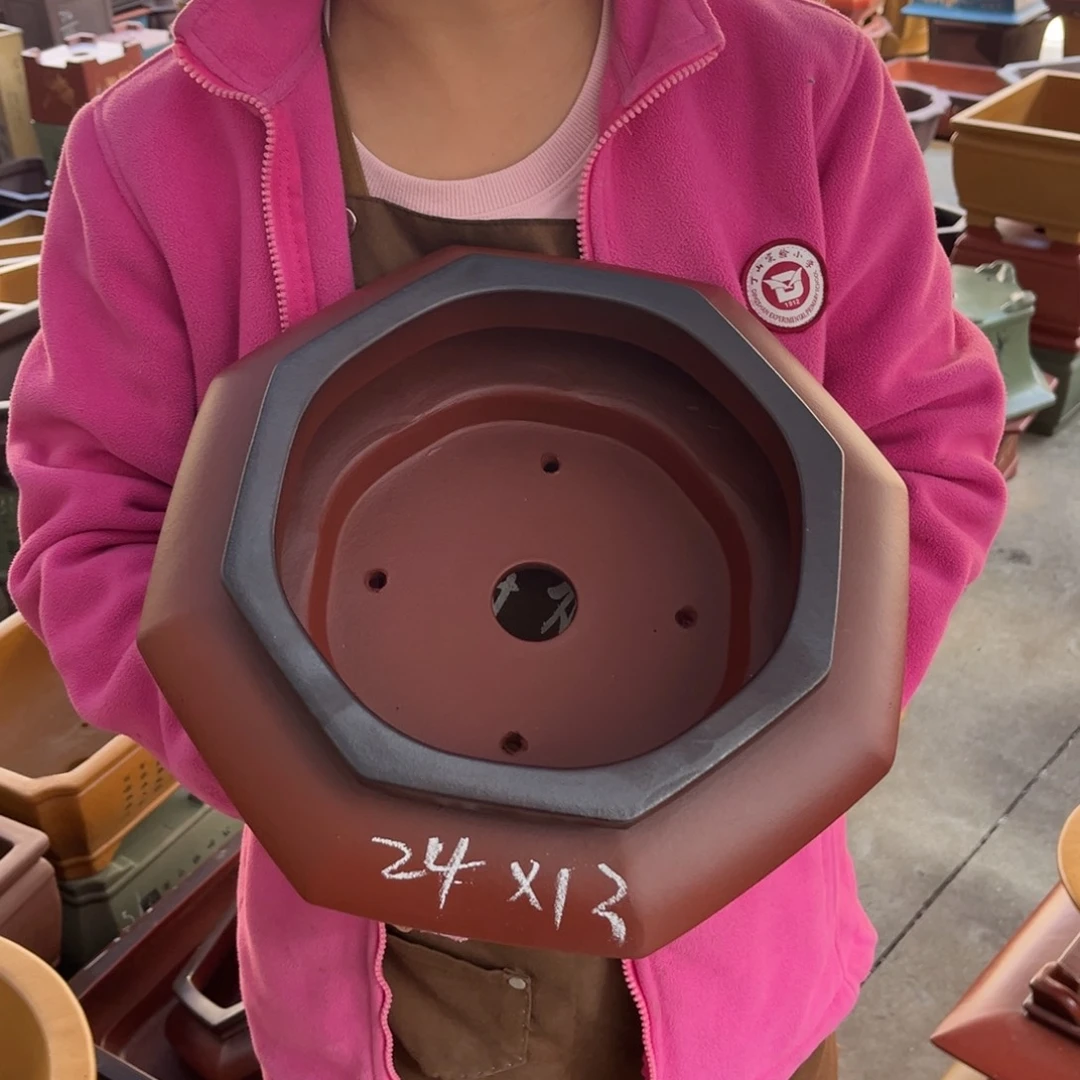 花盆紫砂盆景艺术