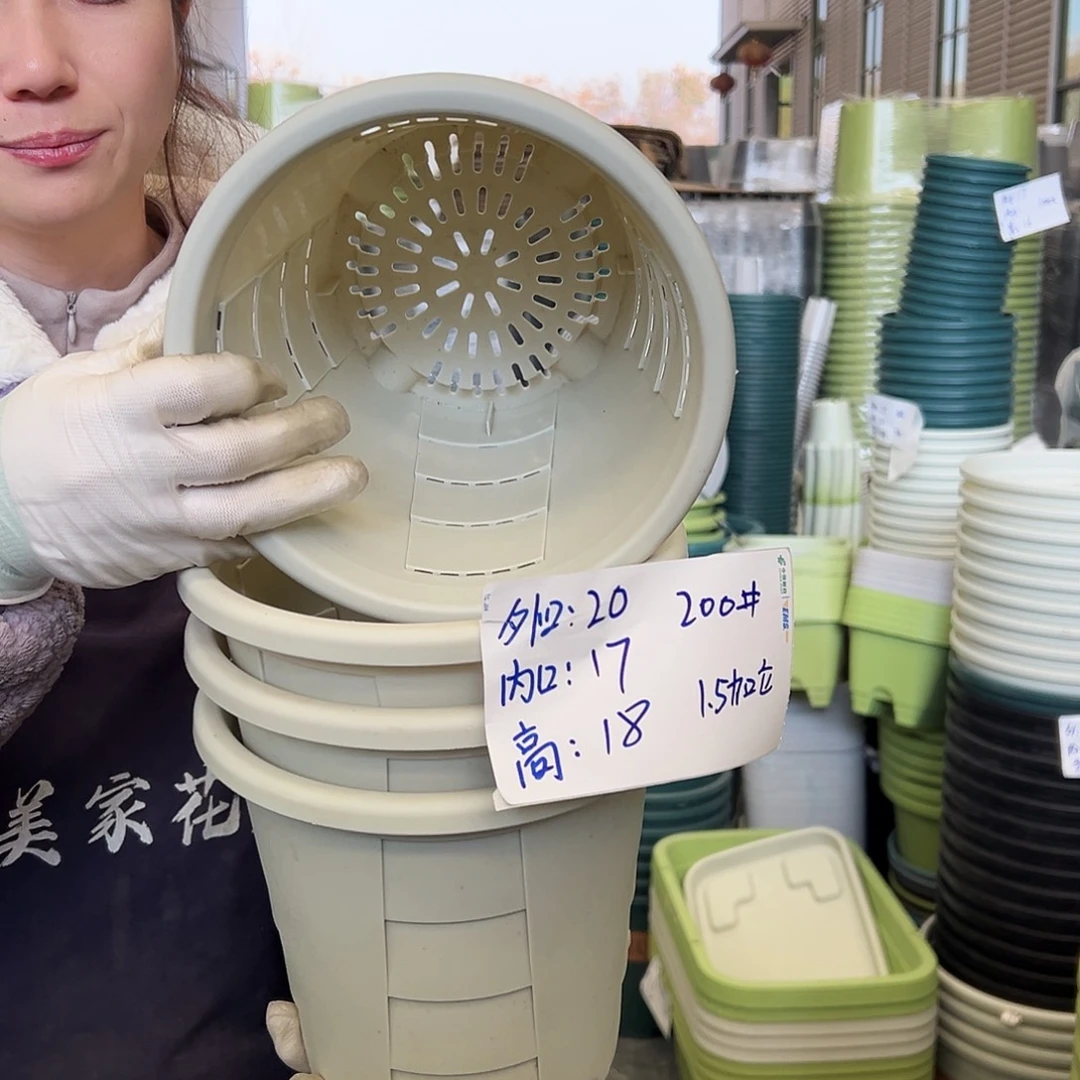 玫瑰盆200#米白5个无托