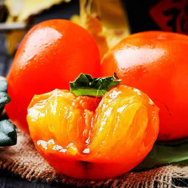 【陇小胖】新鲜采摘软柿子火晶柿子香甜可口皮薄肉厚当季水果