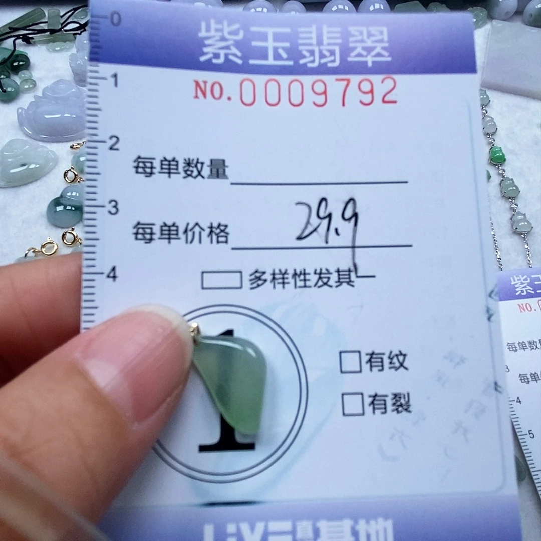 翡翠未镶嵌颈饰冰透随行