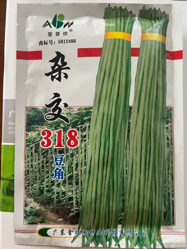 正品318豆角种子蔬菜种子中早熟高产春夏秋200g豇豆种子翠绿豇豆
