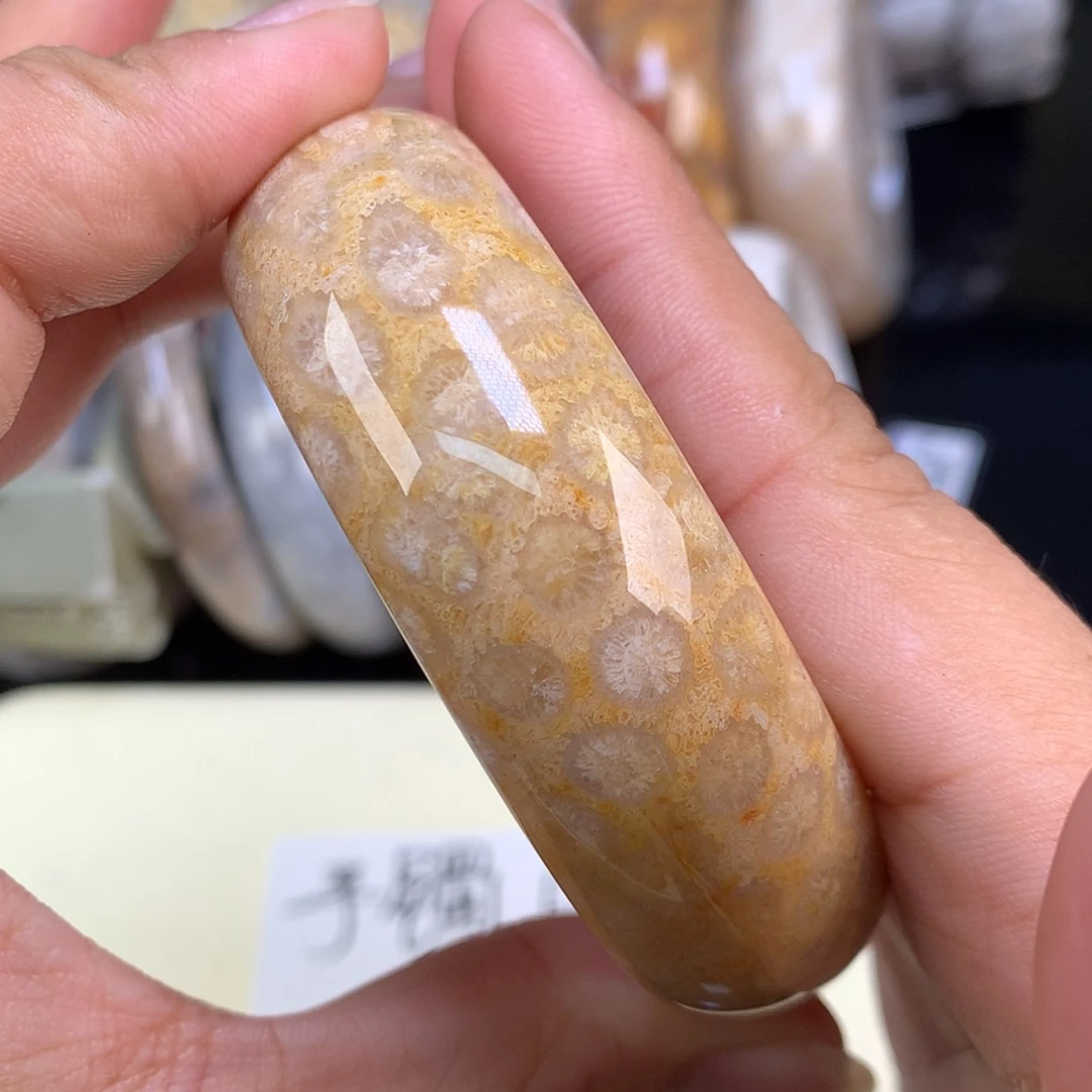 【闪购商品】颈饰未镶嵌硅化珊瑚（珊瑚玉）13号上新精美手镯56圈